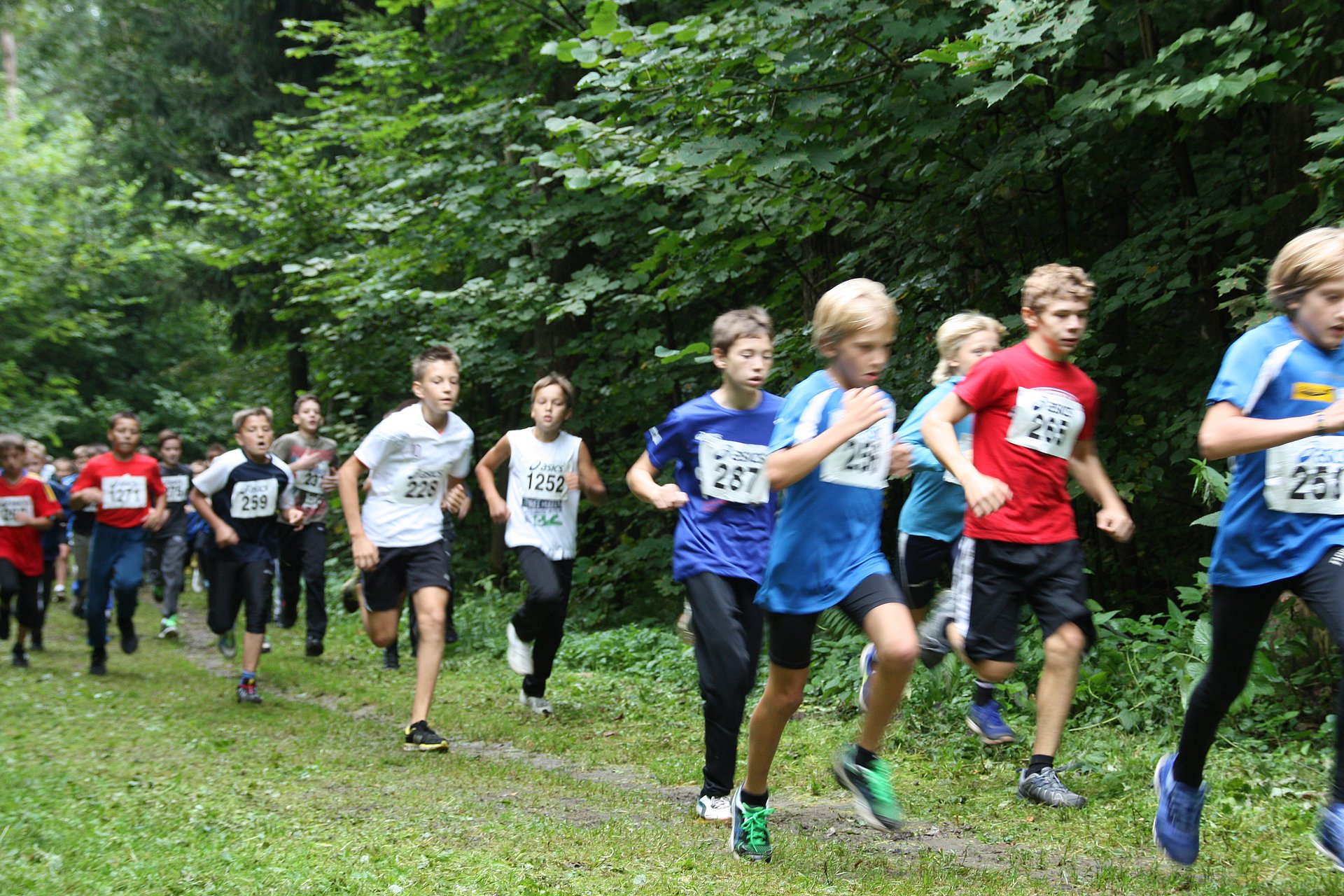 24 сентября 2013 г. 24 сентября 2013 г. 24 сентября 2013 г. 24 сентября 2013 г. Ск импульс сертолово.