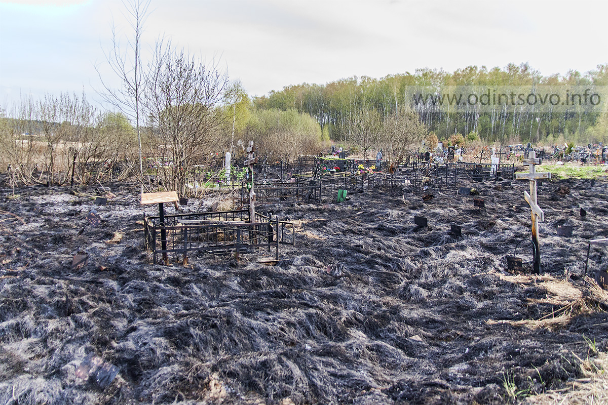 Кладбище в одинцово лайково. Лайковское кладбище Одинцово. Кладбище в Лайково Одинцовский район. Старое Лайковское кладбище.