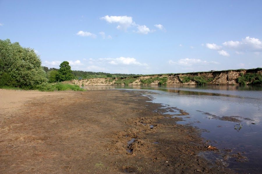 Пляж дипломат николина гора фото