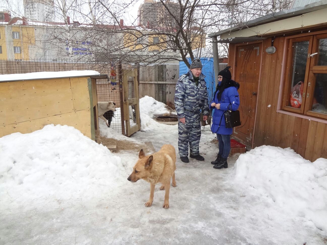 Приют одинцово. Одинцовский приют. Приют Зов предков Одинцово. Приют для животных Одинцово.