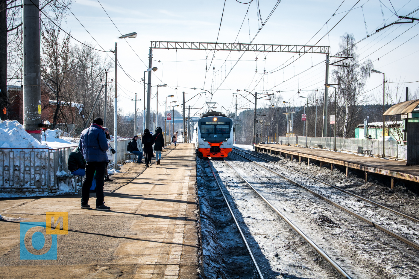 Перхушково петелина