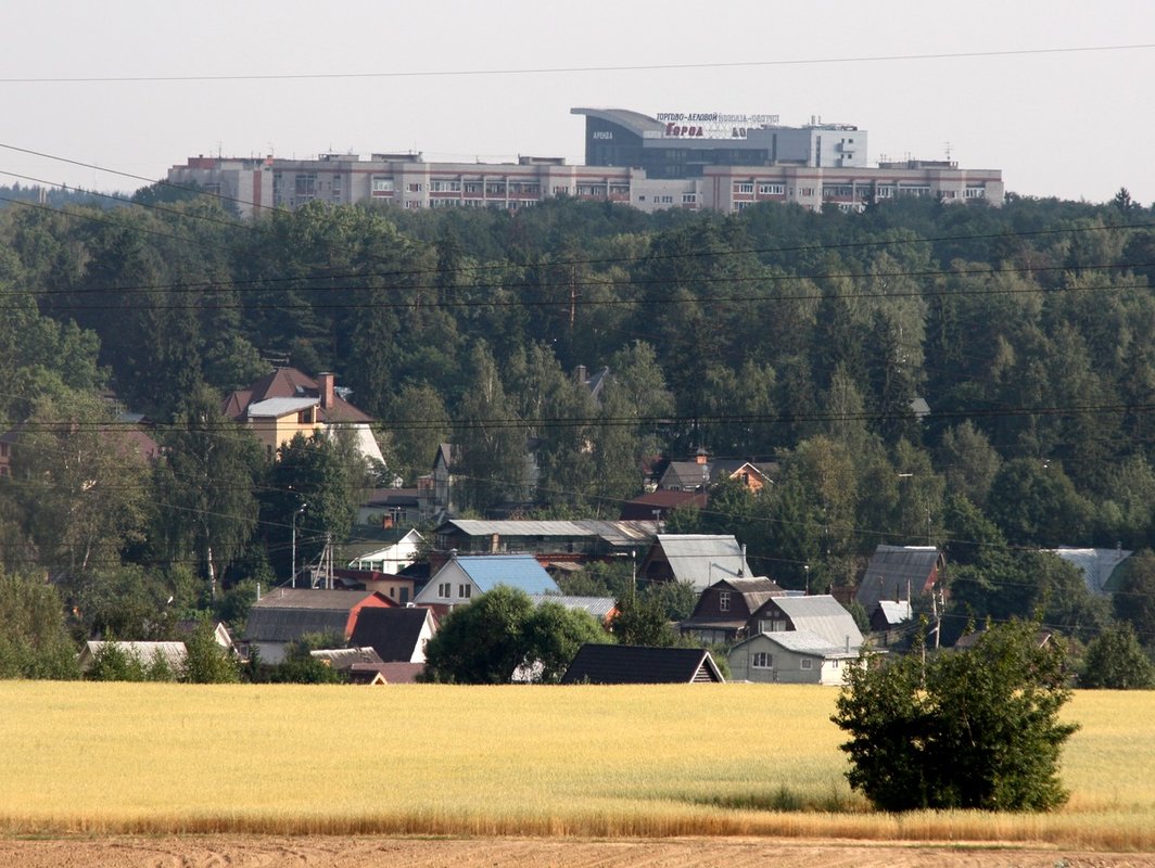 Лесной городок фото города